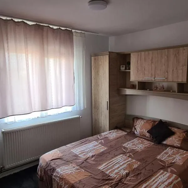 Apartament 2 camere R4，位于Siret的酒店
