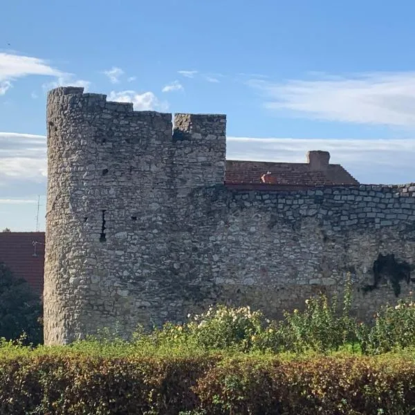 Várfal Wellness Panzió Pécs，位于佩奇的酒店