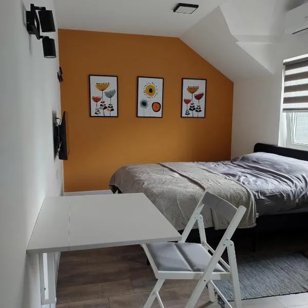 Top 4 Sobe, Rooms - Near the airport，位于尼什的酒店