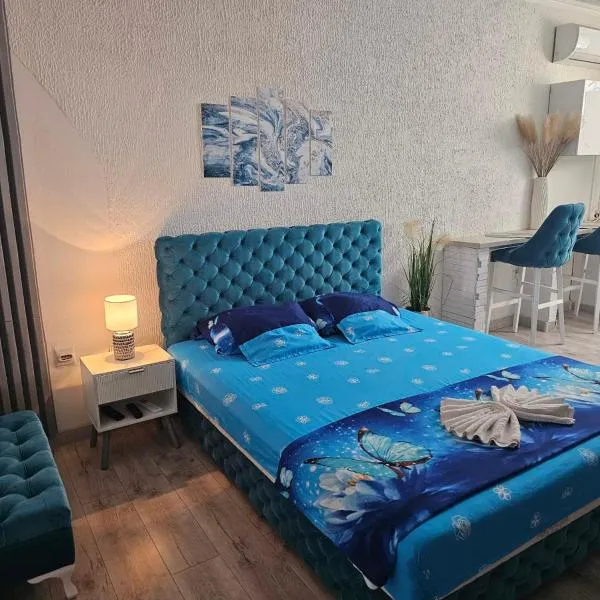 Stan u centru 1，位于Šid的酒店