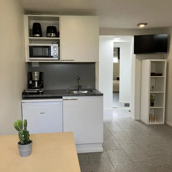 Studio with private entrance，位于塞伊奈约基的酒店