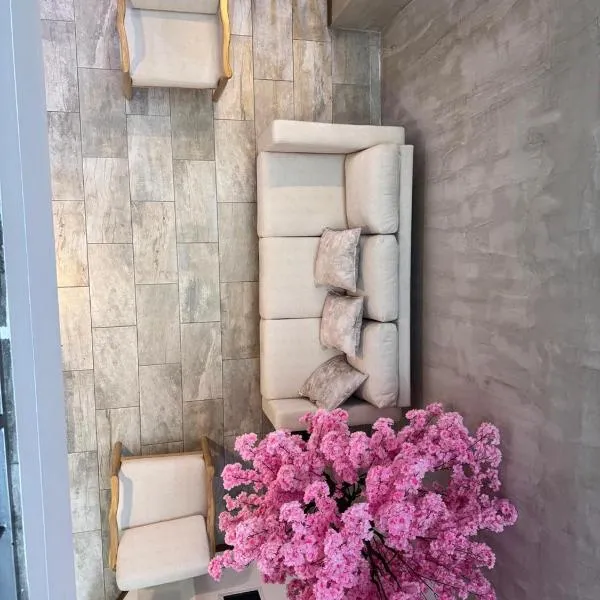 Hotel Rosales Suite，位于佩雷拉的酒店