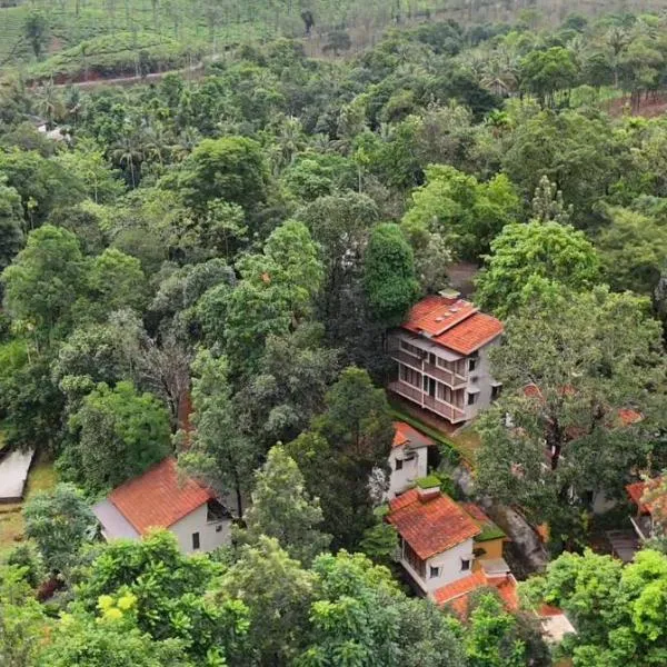 Safari Hills，位于Vayittiri的酒店