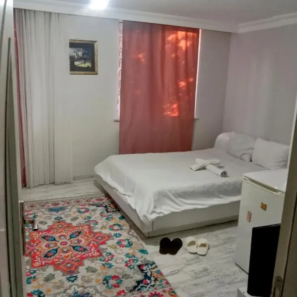 forest villa, 6 minutes from the airport，位于Taşoluk的酒店