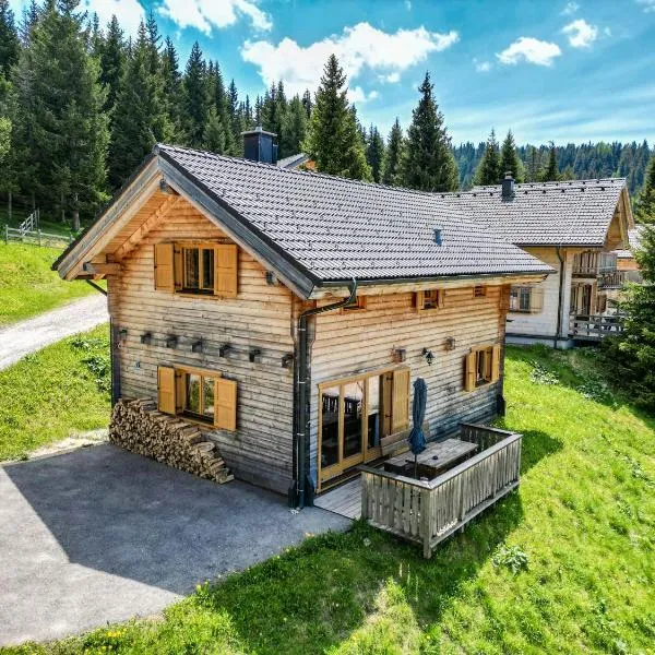 1A Chalet Koralpenrast - Wandern, Grillen mit Aussicht，位于Elsenbrunn的酒店
