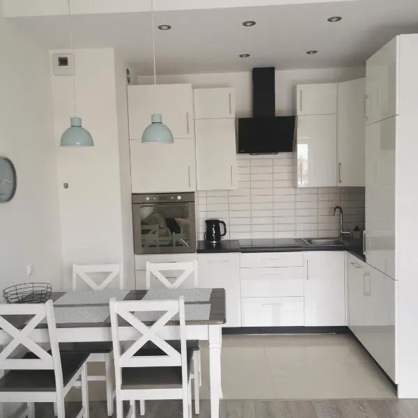 Apartament przy Lesie，位于奥尔什丁的酒店