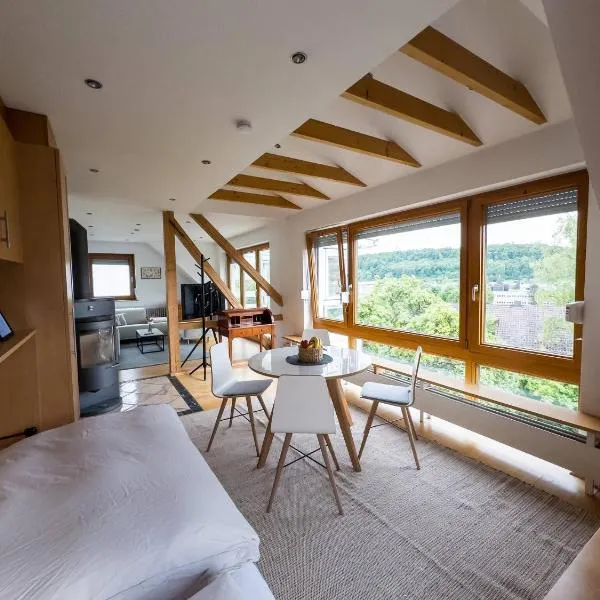 Modern Glass Front Apartment With Amazing View B17，位于布拉河畔的海登海姆的酒店