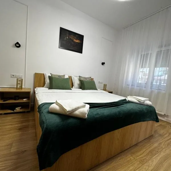 Moin Apartment，位于锡比乌的酒店