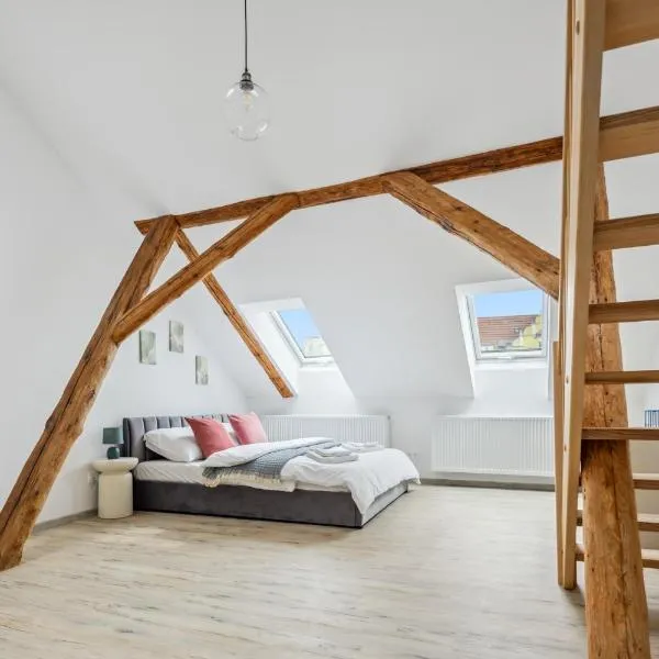 Spacious two-storey apartment with a terrace in the city center，位于贝内绍夫的酒店