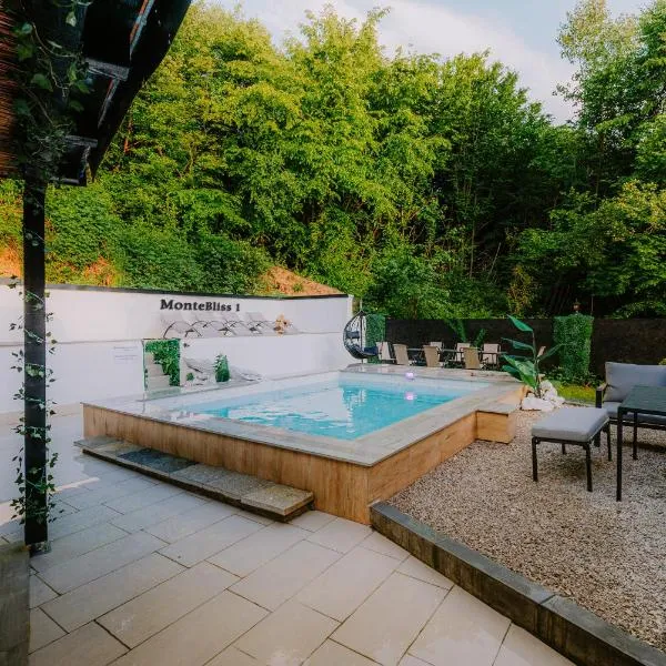 Panorama Villa House Sarajevo- Jacuzzi, Bazen & Pogled na Grad 1，位于萨拉热窝的酒店