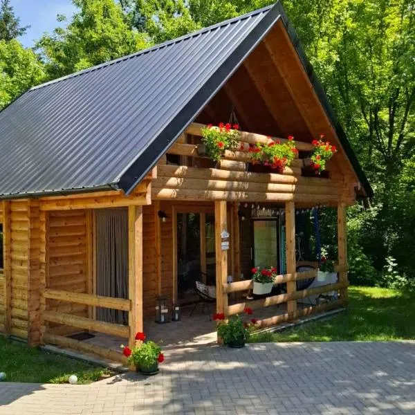 Kuća za odmor Stara Jabuka，位于Ledinci的酒店