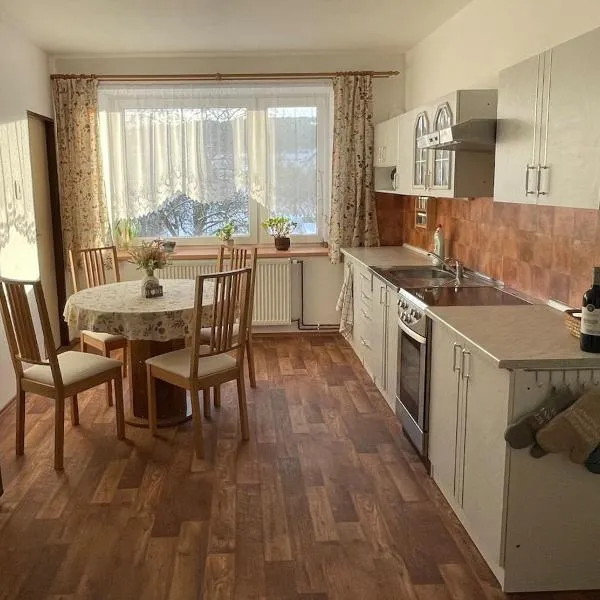 Apartment Světlá，位于Světlá的酒店