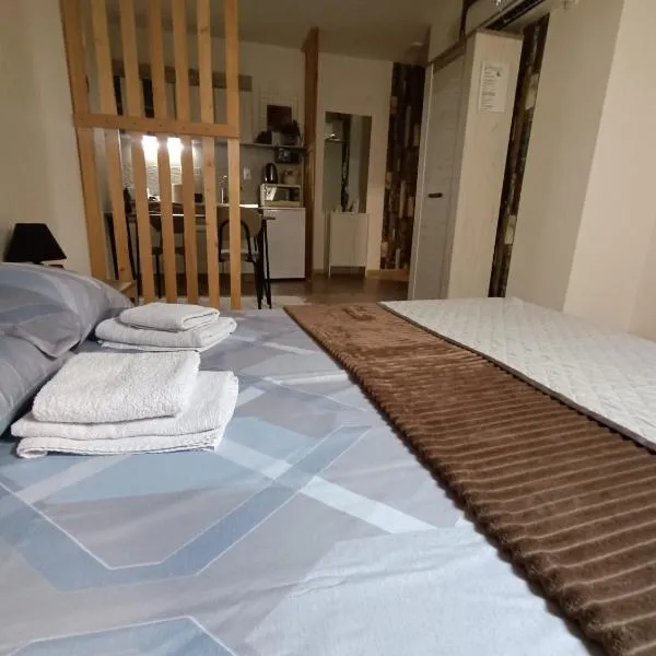 Apartmani S - DSN，位于克拉列沃的酒店