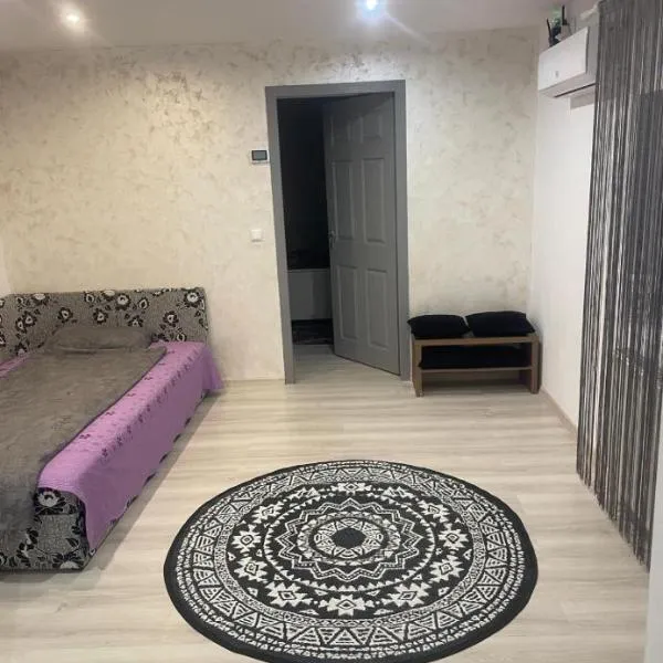 Casa de vacanța，位于布勒伊拉的酒店
