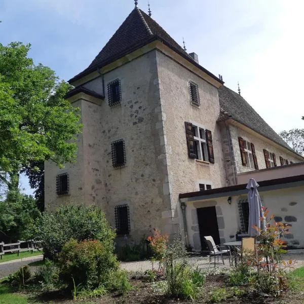 Grand gite Chateau，位于Saint-Paul-lès-Monestier的酒店