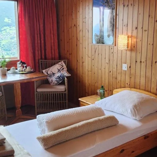 One-Room Zeneggen, Dorfstrasse 112，位于Arni Alp的酒店