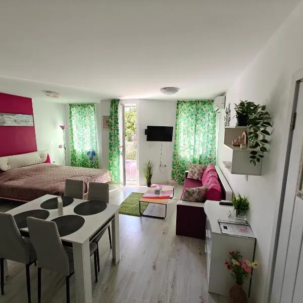 Studio Viktoria，位于巴尔奇克的酒店