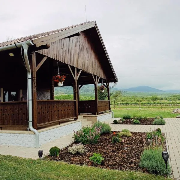 Tekeres-patak Fogadó，位于Abasár的酒店