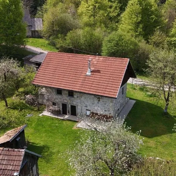 Apartment Olga，位于Babno Polje的酒店