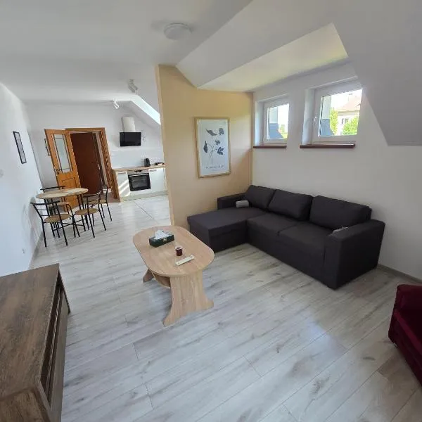 Apartmán pod Javorovým vrchem，位于Nebory的酒店