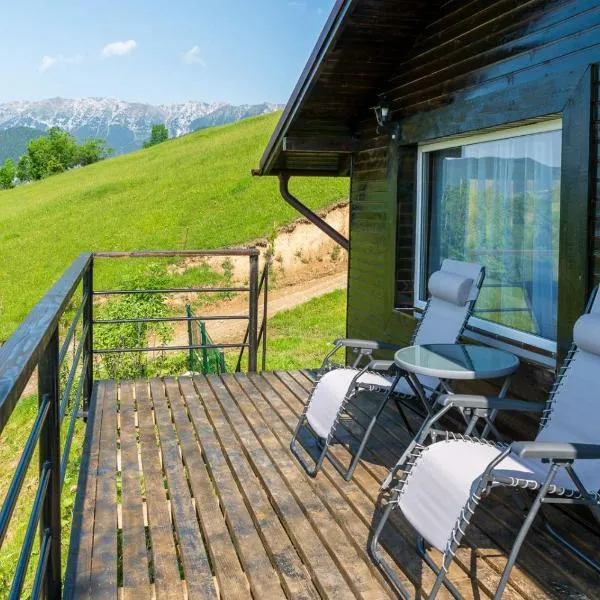 Colnic Tiny House，位于默古拉的酒店