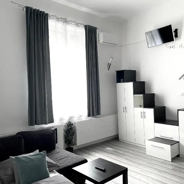 Belvárosi Apartman，位于米什科尔茨的酒店
