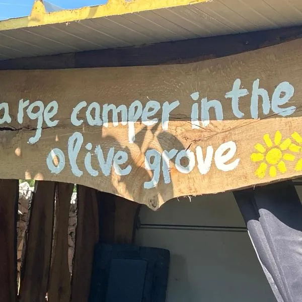 Large camper in the olive grove，位于班约勒的酒店
