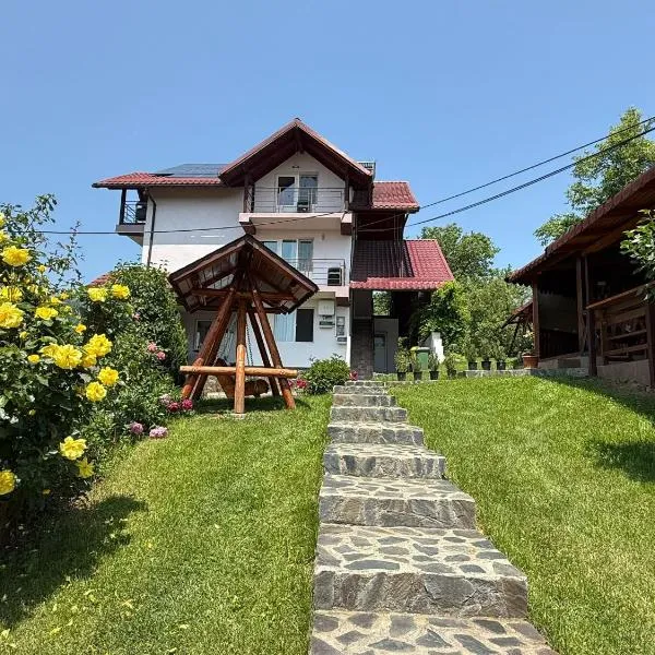 Casa Silvia，位于Căpăţîneni-Ungureni的酒店