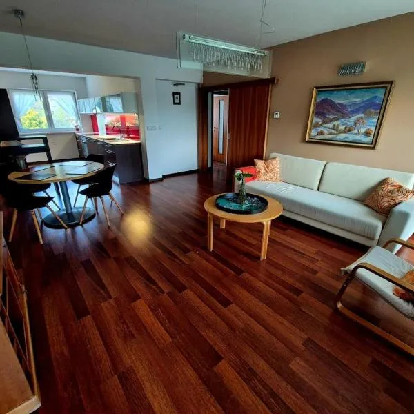 4-room Apartment Záhorská Bystrica，位于布拉迪斯拉发的酒店