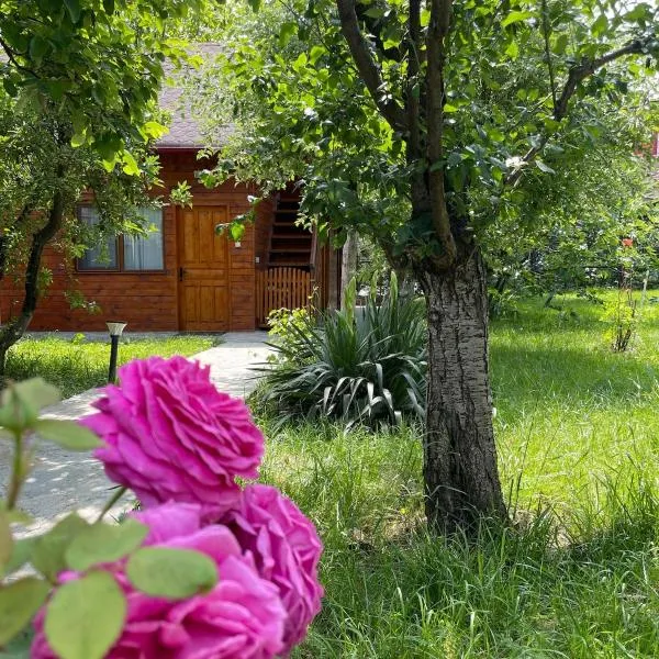 Cabana Maria, Cozia-Calimanesti，位于卡库拉塔的酒店