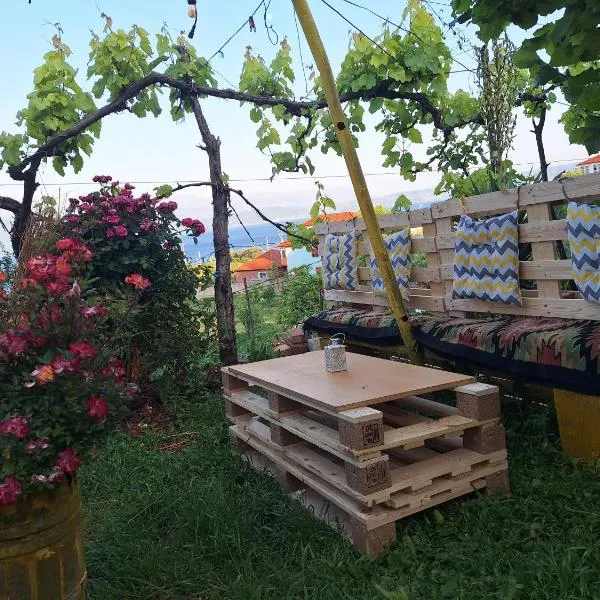 Taku Villa Wonderful view of Lake Ohrid，位于Udënisht的酒店