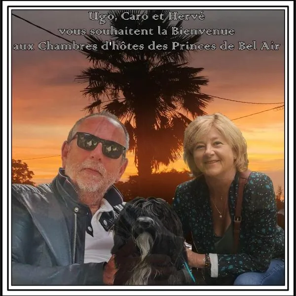 Chambres d'hôtes des Princes de Bel Air，位于卢丹的酒店