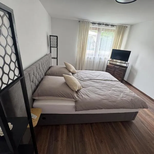 Cozy apartment，位于圣戈阿尔的酒店
