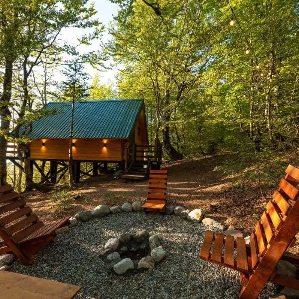 Mountain Tree House Komovi-Radunovic，位于Katun Božički的酒店