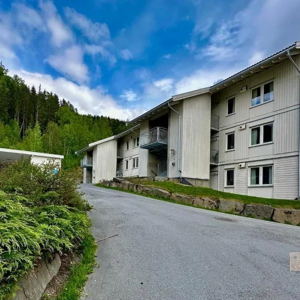 Family friendly apartment in Hafjell ski in-out, fireplace, sauna and wifi，位于哈山的酒店