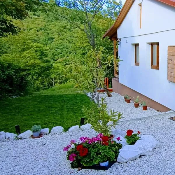 Hilltop Cottage in Szentendre, mountain view, terrace, garden，位于圣安德烈的酒店