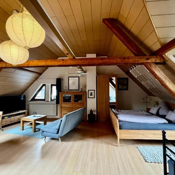Apartment Mosel-Götterlay，位于布鲁蒂格-凡克尔的酒店