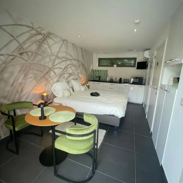 Q Studio Green，位于Herzele的酒店