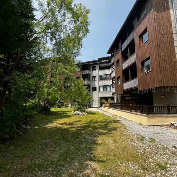 Appartement entier duplex 34m2 au seignus Allos，位于阿洛斯的酒店
