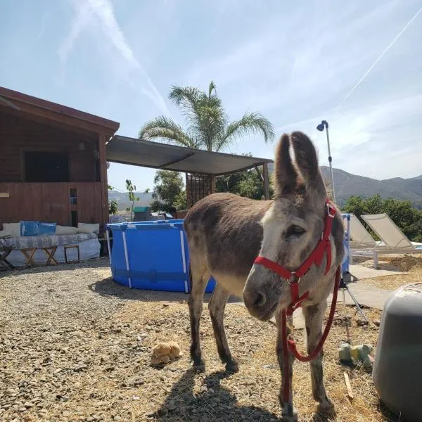 Mountainside Log Cabin near to Golf and Sea，位于马拉加的酒店