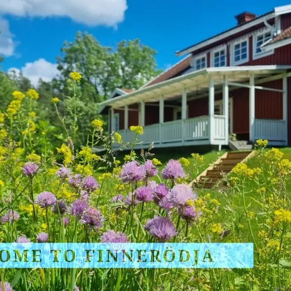 Holiday House "Goldstück" Finnerödja，位于Finnerödja的酒店