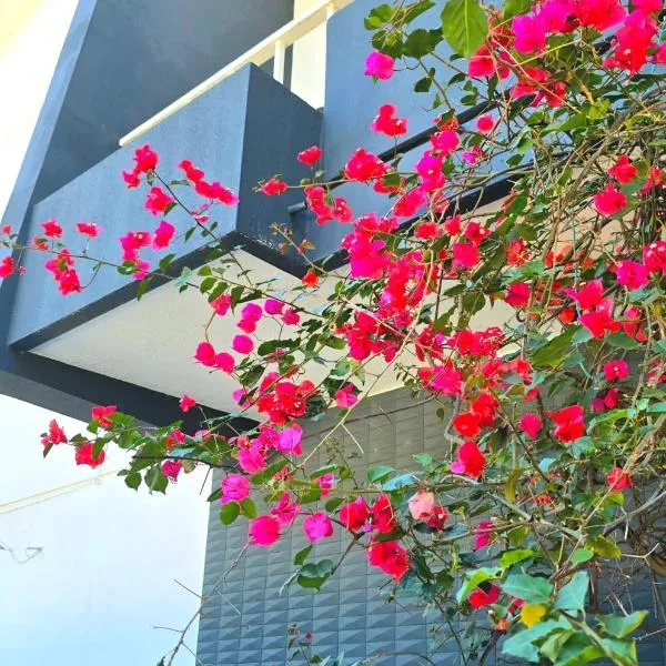 Jan House，位于布拉加的酒店