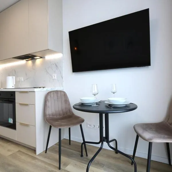 Flat for 2 or 1 with Free Parking and Fast Wi-Fi，位于维尔纽斯的酒店