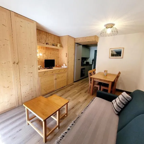 Studio rénové La Clusaz，位于拉克吕萨的酒店