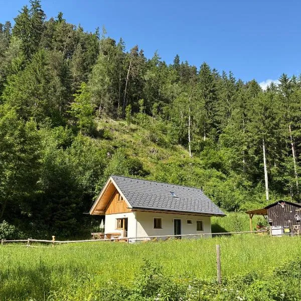 Grobmbauerhütte，位于Sankt Stefan ob Leoben的酒店