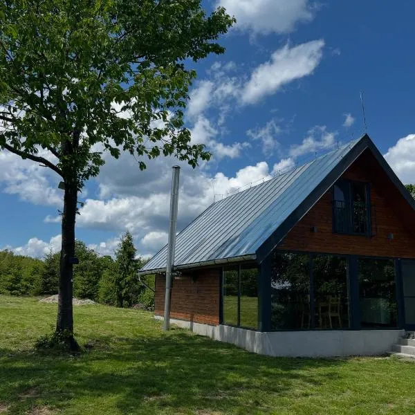 Cabana din deal，位于Poiana Vadului的酒店