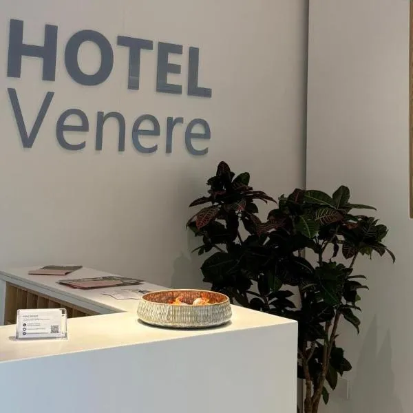 维纳里酒店，位于阿谢亚的酒店