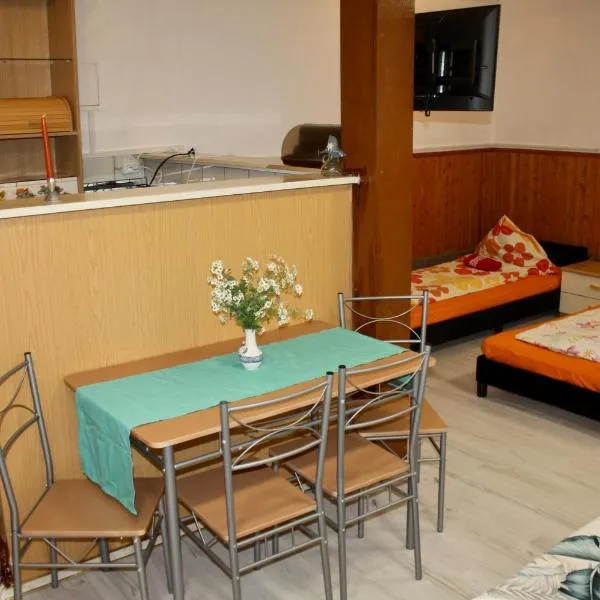 Apartment Ferienwohnung Landliebe，位于Oberwittstadt的酒店