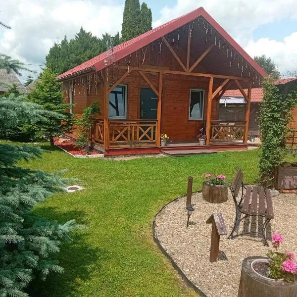 Temeszówka domek do wynajęcia，位于Temeszów的酒店