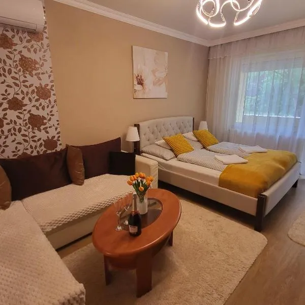 Jókai Apartman Szarvas，位于索尔沃什的酒店